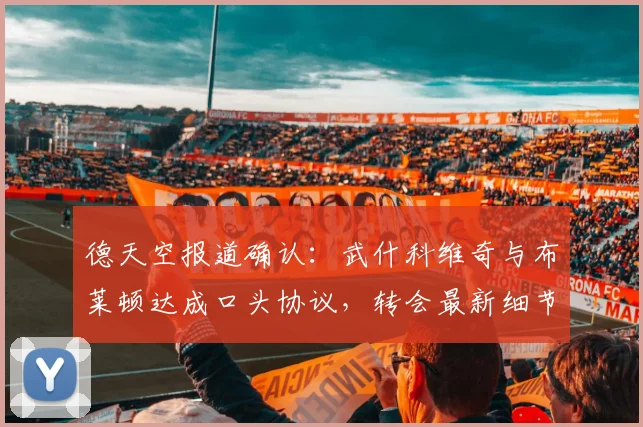 德天空报道确认：武什科维奇与布莱顿达成口头协议，转会最新细节与加盟前景分析