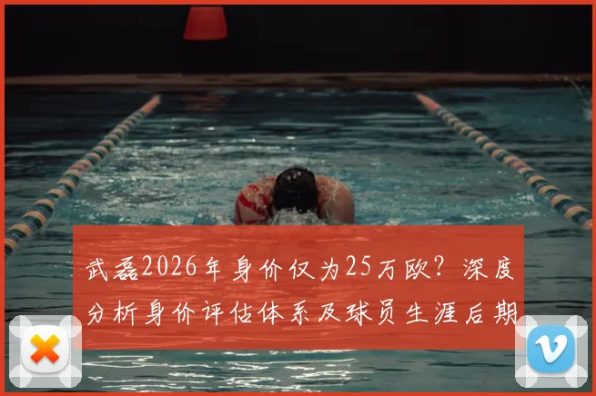 武磊2026年身价仅为25万欧？深度分析身价评估体系及球员生涯后期现状