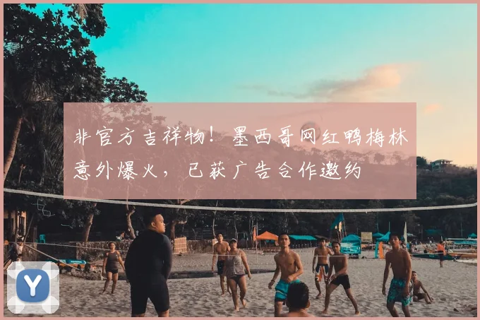 非官方吉祥物！墨西哥网红鸭梅林意外爆火，已获广告合作邀约