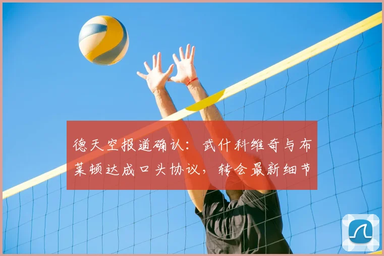 德天空报道确认：武什科维奇与布莱顿达成口头协议，转会最新细节与加盟前景分析